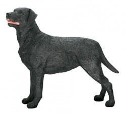 Picture of Black Labrador Standing Ornament (Best of Breed)