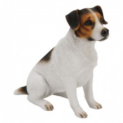Picture of Jack Russell Sitting (Best of Breed)