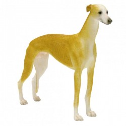Picture of Greyhound Fawn Figurine (Best of Breed)