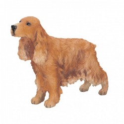 Picture of Cocker Spaniel Gold Standing (Best of Breed)