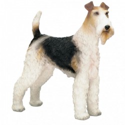 Picture of Wire Fox Terrier Standing (Best of Breed)