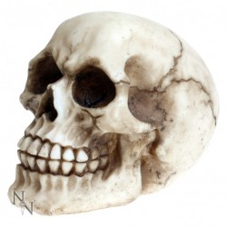 Picture of Joker Skull Ornament