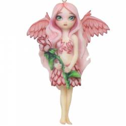 Picture of Pale Rose Fairy